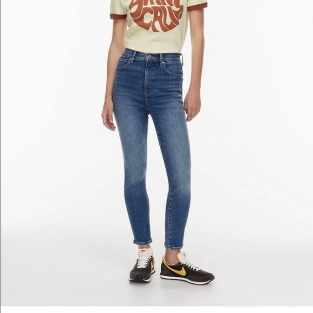 DENIM FORUM Aritzia Lols High Rise Skinny